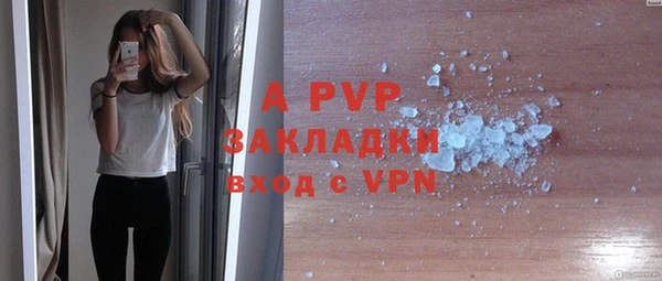 твердый Иннополис
