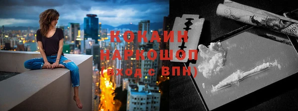 прущие грибы Инсар