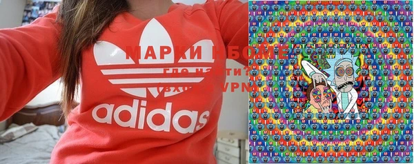 прущие грибы Инсар