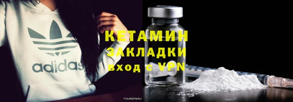 прущие грибы Инсар