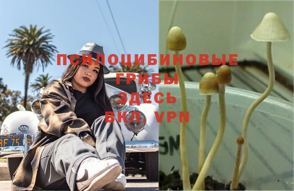 гидропоника Инта