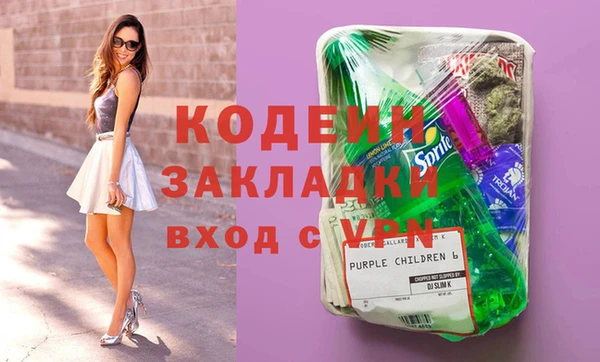 прущие грибы Инсар