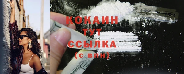 прущие грибы Инсар