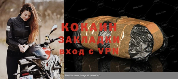 прущие грибы Инсар