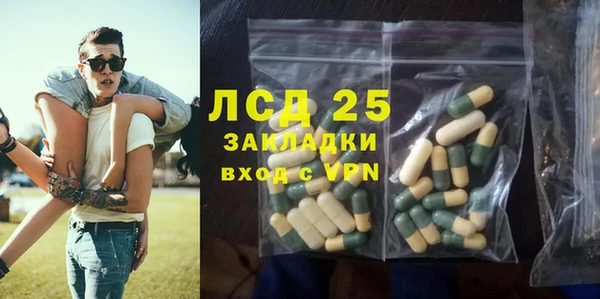 прущие грибы Инсар